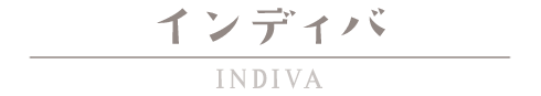 インディバ 痩せる セルライト 冷え性改善 脂肪燃焼