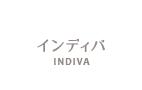 インディバ 痩身 体内温暖化 冷え性対策 秋田 エステ